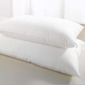 Pure White Hypoallergenic Pillows (pair)
